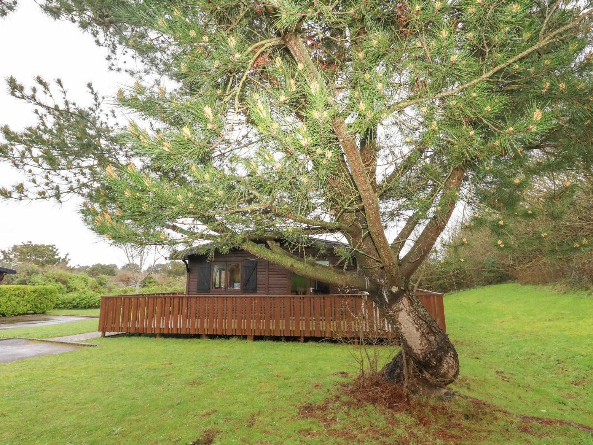 16 Amber Wood Lodge ليمنجتون المظهر الخارجي الصورة