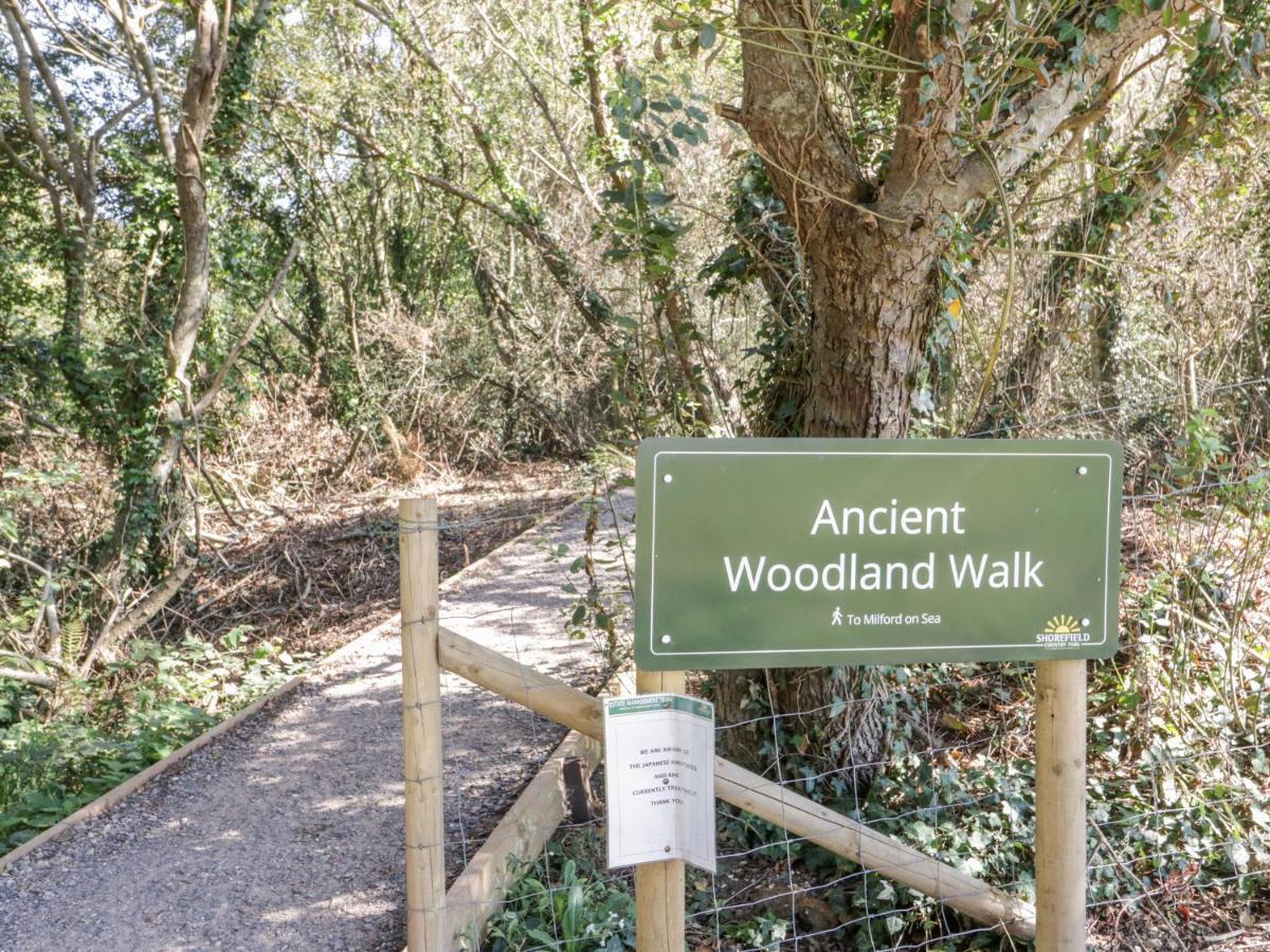 16 Amber Wood Lodge ليمنجتون المظهر الخارجي الصورة